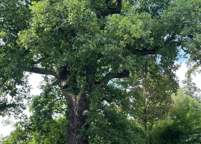 Eichenglueck Apartman